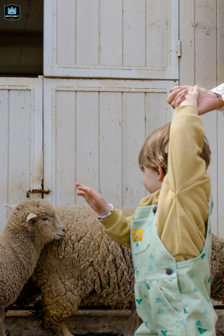 Documentary-style photographer captures a boy holding onto his mother's hand while walking through the Portuguese countryside, passing by a group of sheep and a white wooden barn in Lisbon.